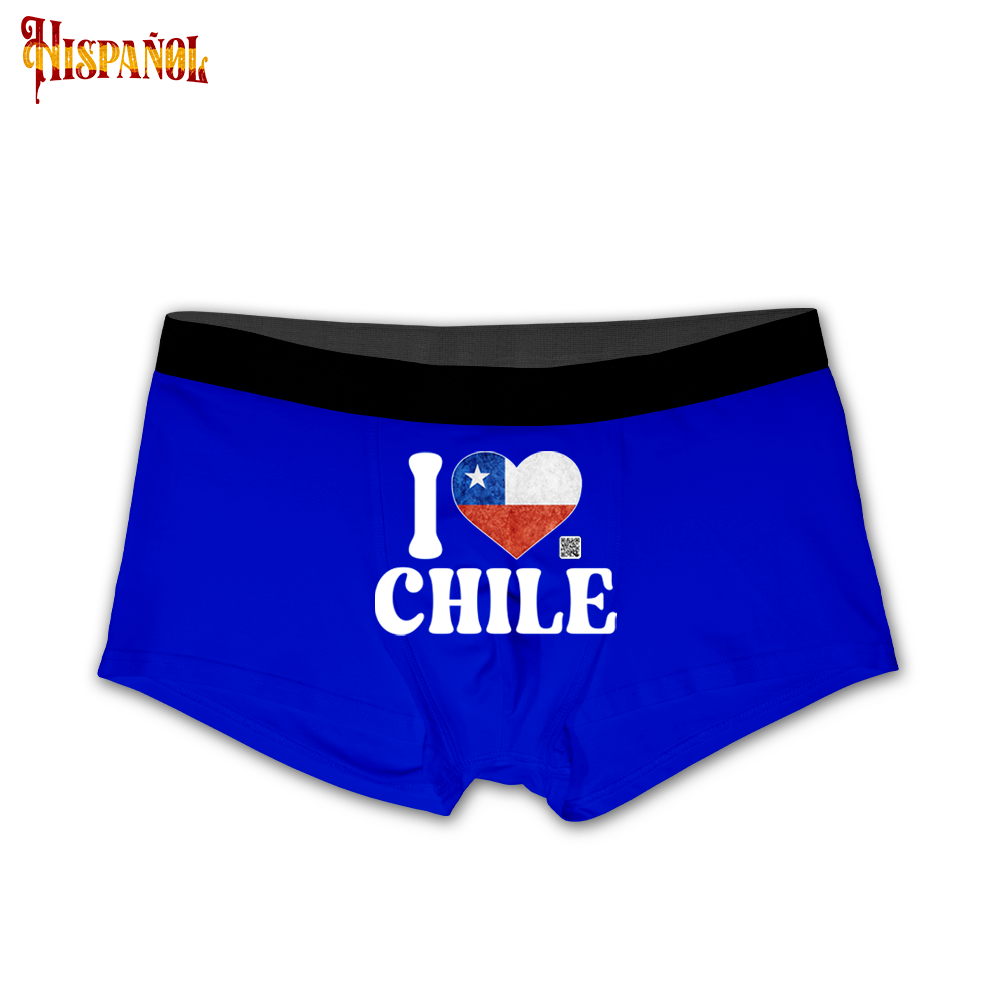 Boxer Bandera Chile